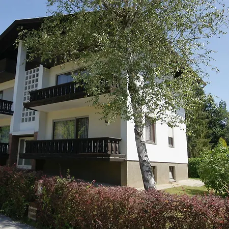 Amerika-holzer & Hotel 4*