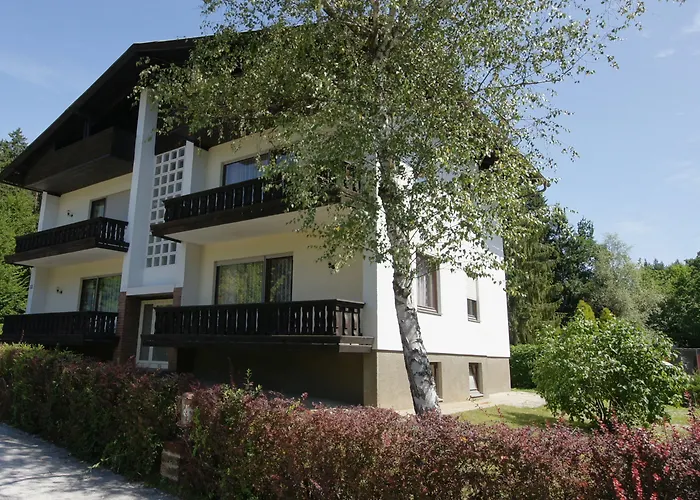 Amerika-holzer & Szálloda 4*