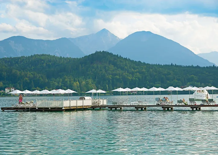 Amerika-holzer & Szálloda