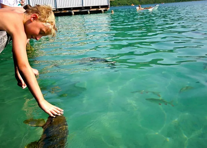 Amerika-holzer & 4* Sankt Kanzian am Klopeiner See